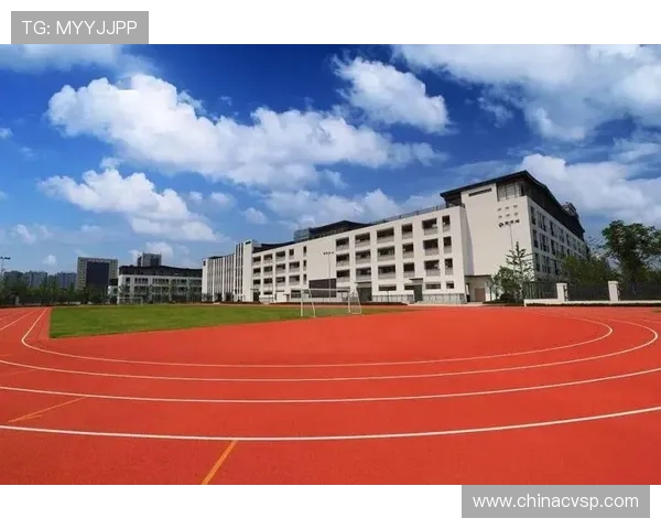 杭州篮球队的奋斗历程与荣耀时刻全景纪实